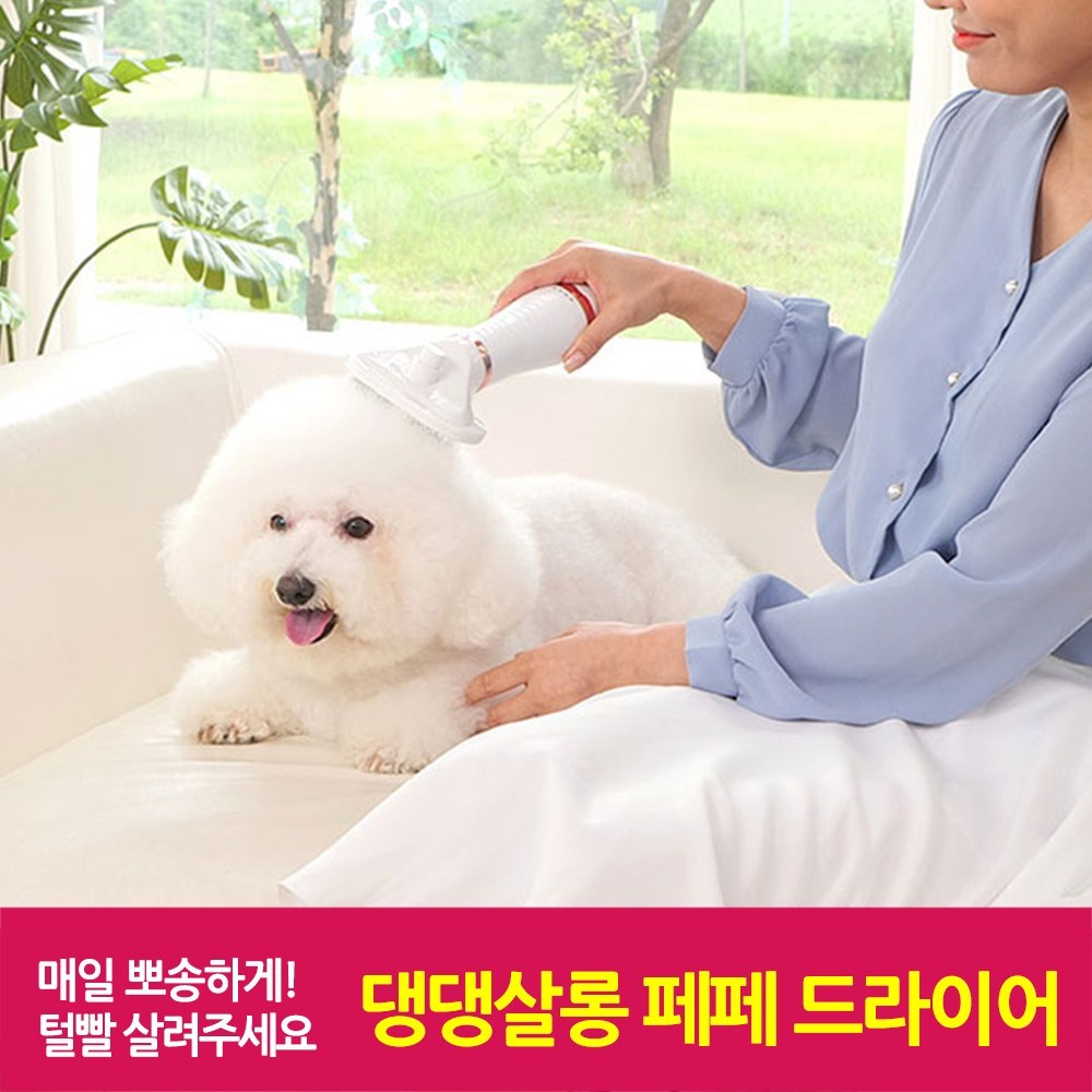 미용받은듯 뽀송하게 관리를! 댕댕살롱 페페 드라이어 펫드라이기 건조기 빗 강아지 고양이 털말리기, 1개 - 드라이용품 | 쿠팡