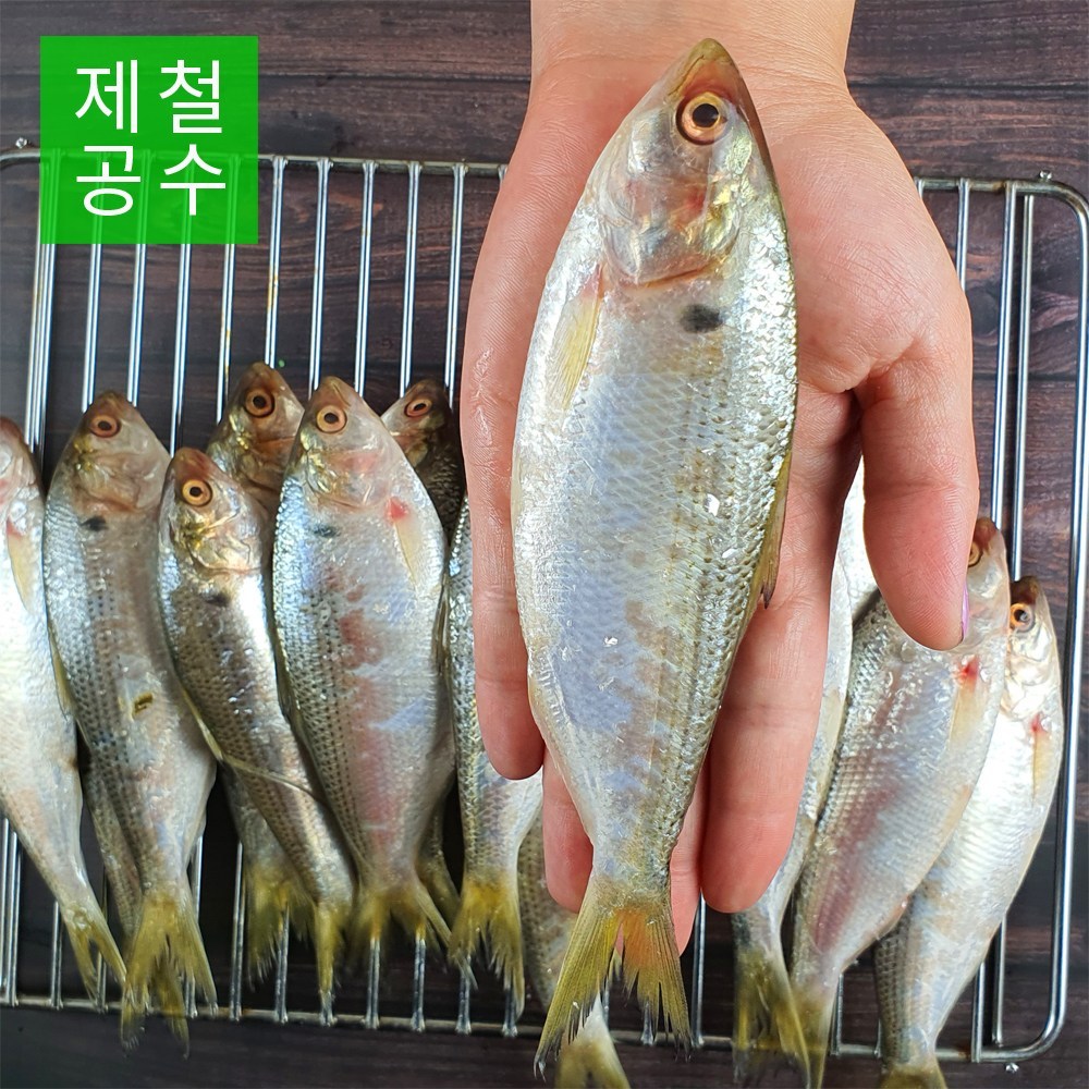 고흥 자연산 햇전어, 가을 미식의 향연을 집에서!