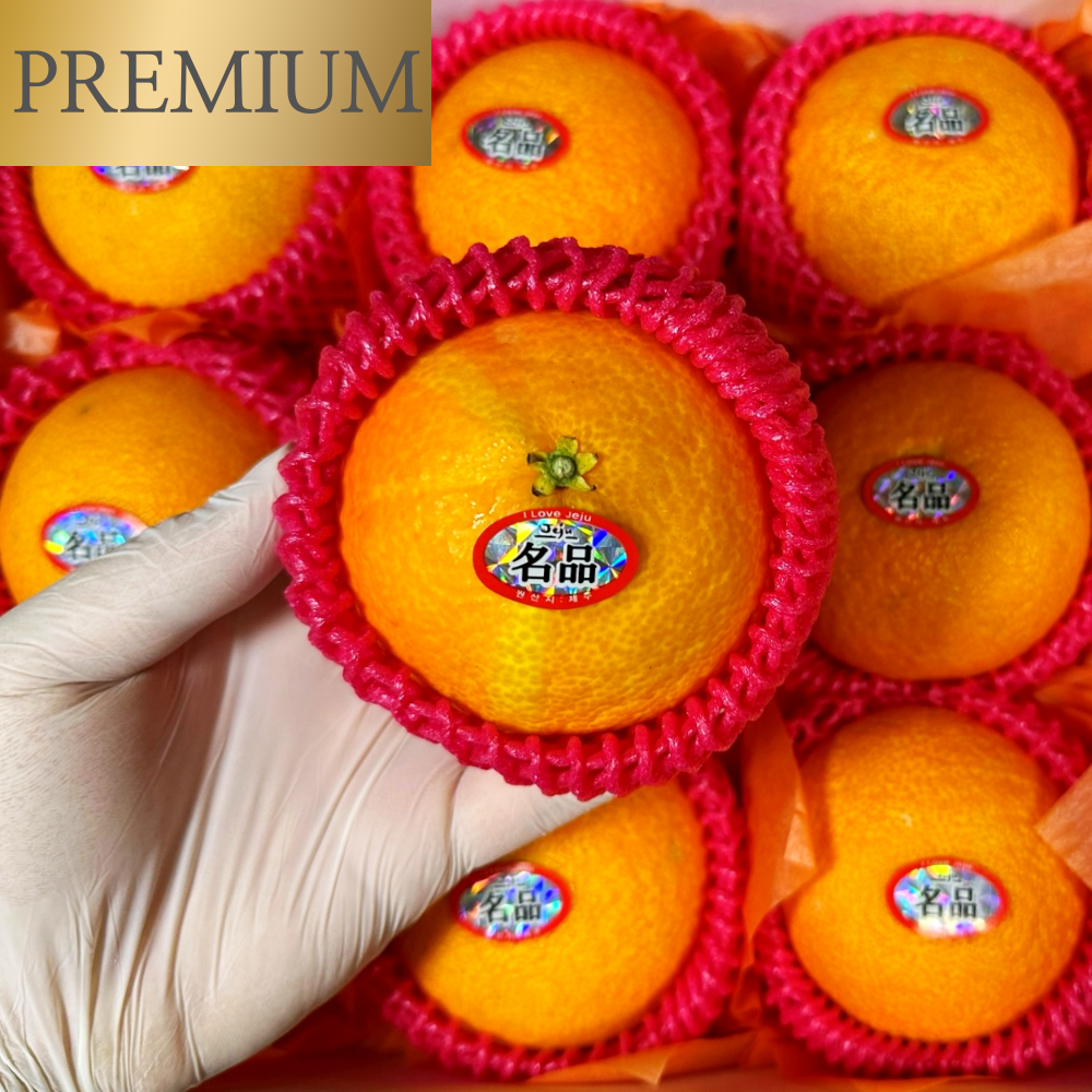 입안 가득 퍼지는 달콤함, 제주 황금향 정품 세트!