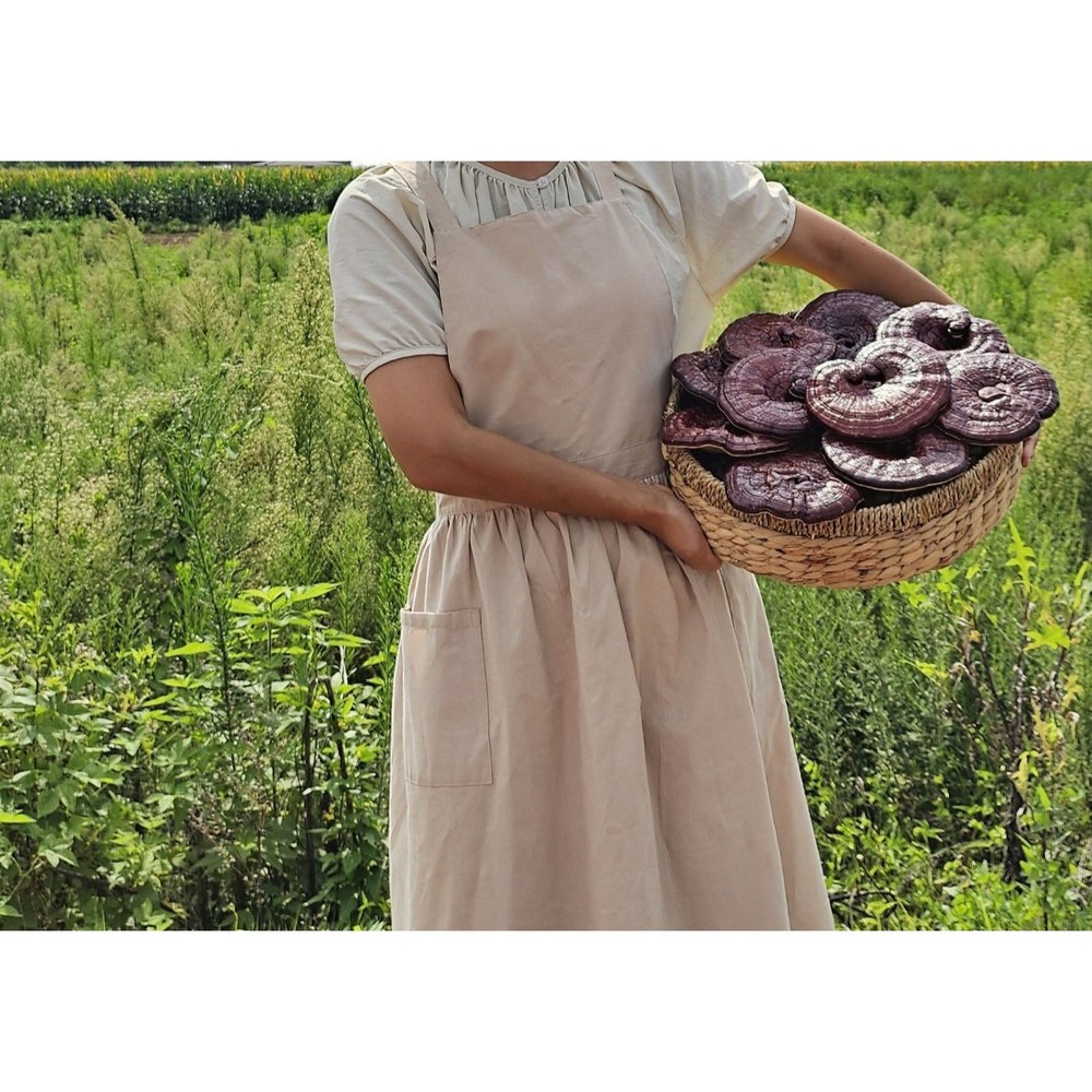 채울농산 영지버섯으로 건강과 품격을 선물하세요!