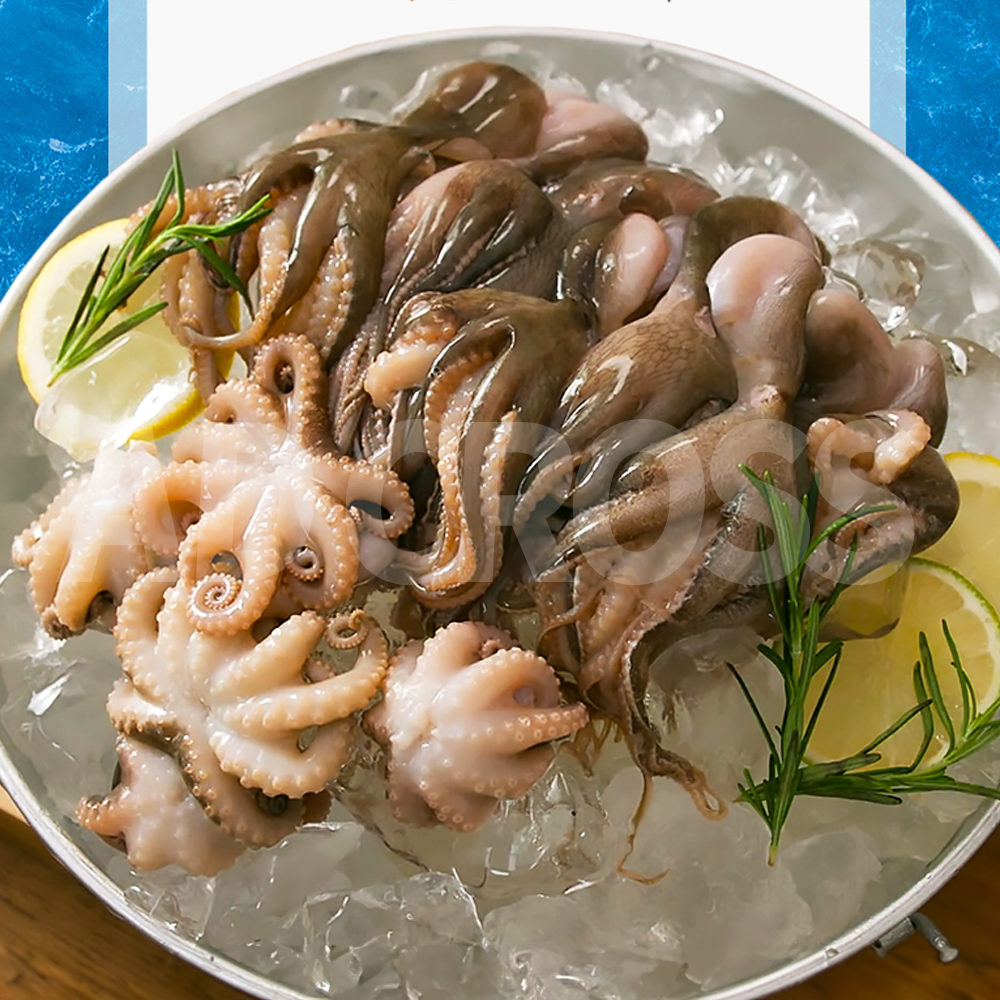 싱싱함 가득, 쫄깃한 식감! 애드크로스 자연산 손질 쭈꾸미