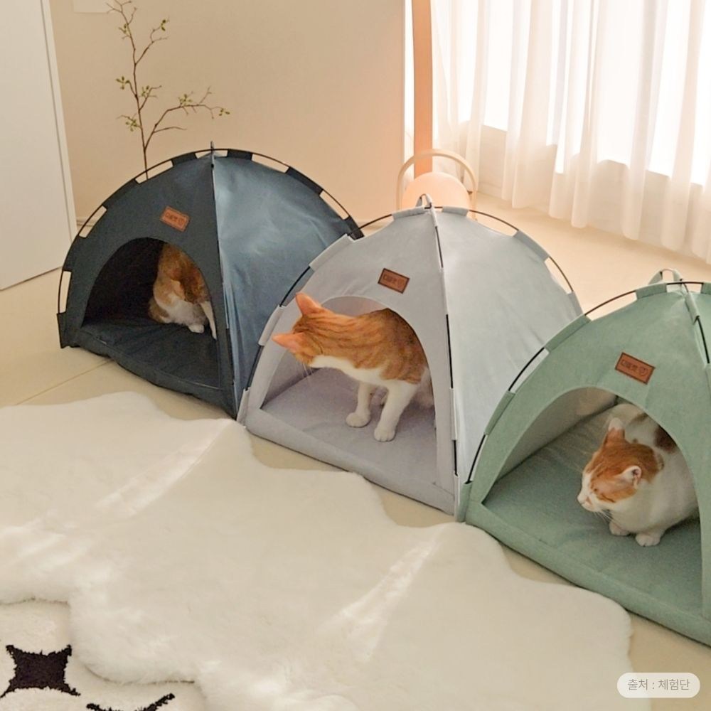 반려동물을 위한 최고의 아지트