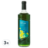 네이쳐티 청포도시럽, 3개, 1L