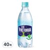 웅진빅토리아 청포도 탄산음료, 500ml, 40개