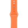 Apple 정품 애플워치 스포츠 밴드, 클레멘타인, 40mm, S/M, 1개
