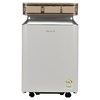 신일 대용량 제습기 18L, SDH-SD19ERE
