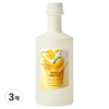 네이쳐티 망고 스무디 베이스, 3개, 1.2kg