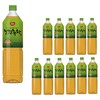 동원보성녹차 음료, 1.5L, 12개