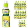 웅진 캐치 티니핑 제로 샤인머스캣 음료, 200ml, 24개