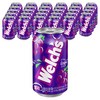 웰치스 그레이프맛, 355ml, 48개