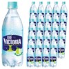 웅진빅토리아 더빅토리아 그린애플 탄산음료, 500ml, 40개