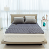 파세코 바로온 DC 탄소 온열 캠핑 전기 카본매트 PEM-S095DG, 첼시그레이, 싱글(95 x 180 cm)