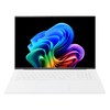 LG전자 2025 그램 AI 17 코어 Ultra5 방문설치, 스노우 화이트, 17Z90TL-GS56K, 256GB, 16GB, WIN11 Home