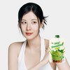푸드올로지 헤이! 스무디 프로틴 말차라떼 저당 단백질 쉐이크, 315g, 2개