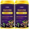 [정품] 자보티카바 Jaboticaba 정, 2개, 120정
