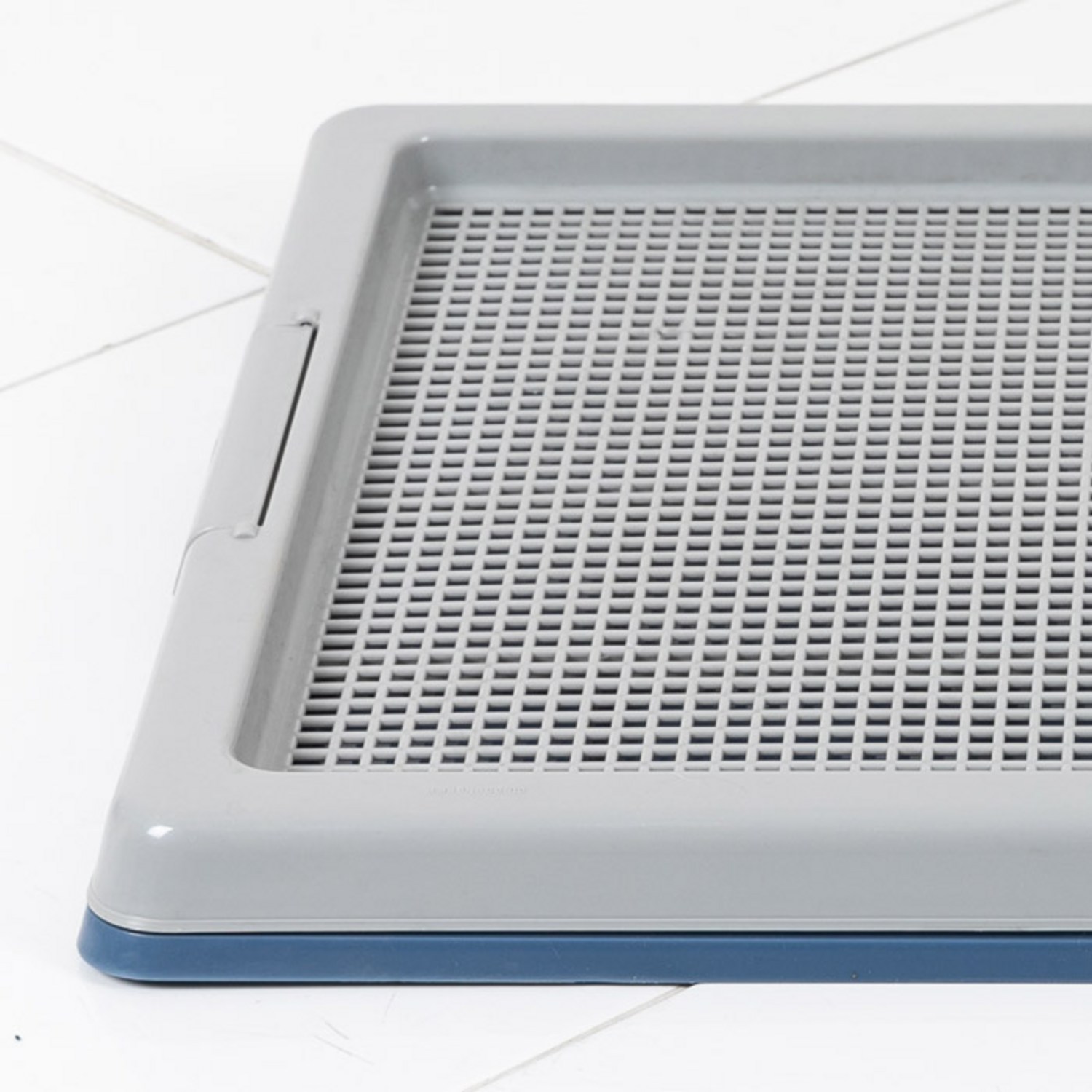 반려동물의 편안함이 우리의 편안함