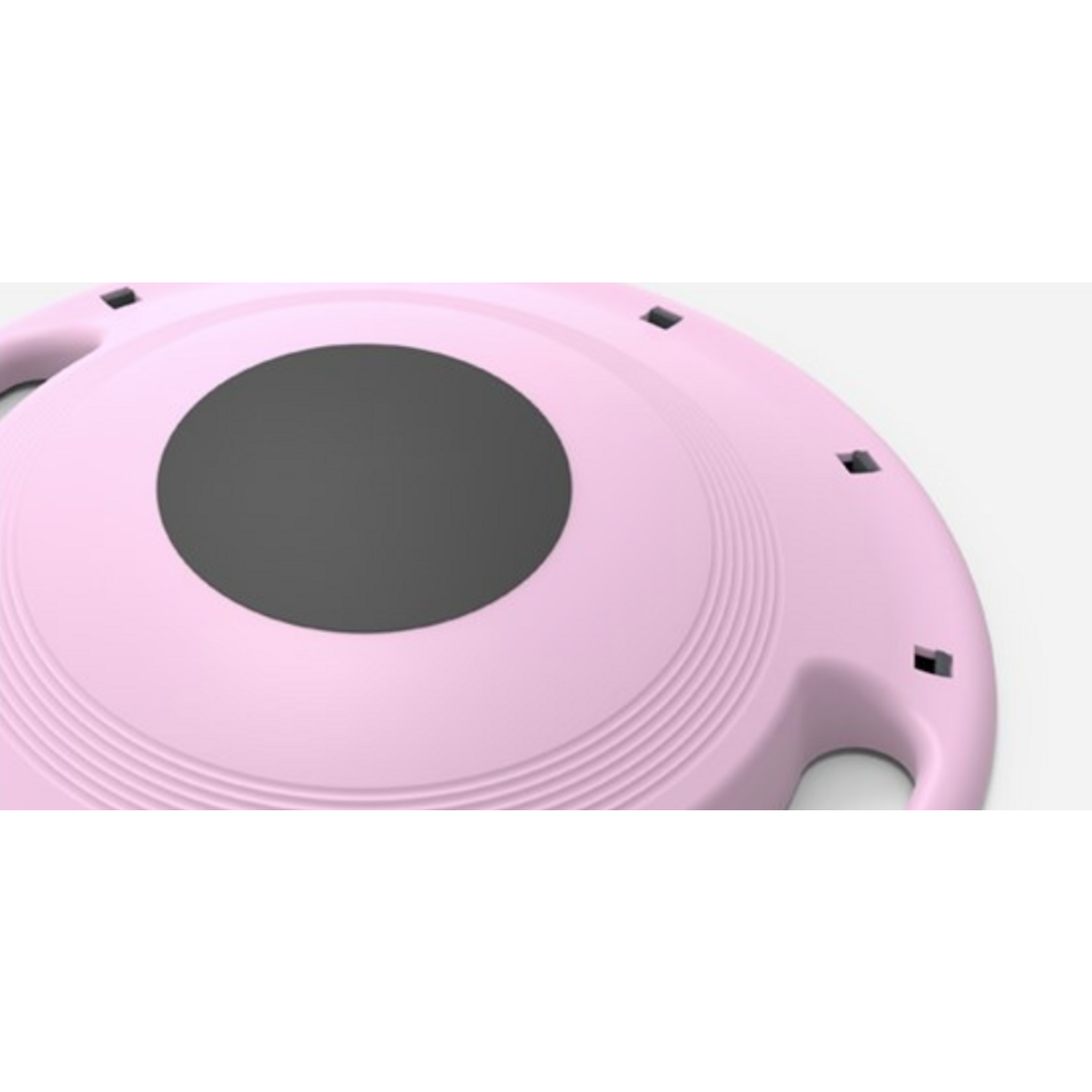 균형과 운동의 조화