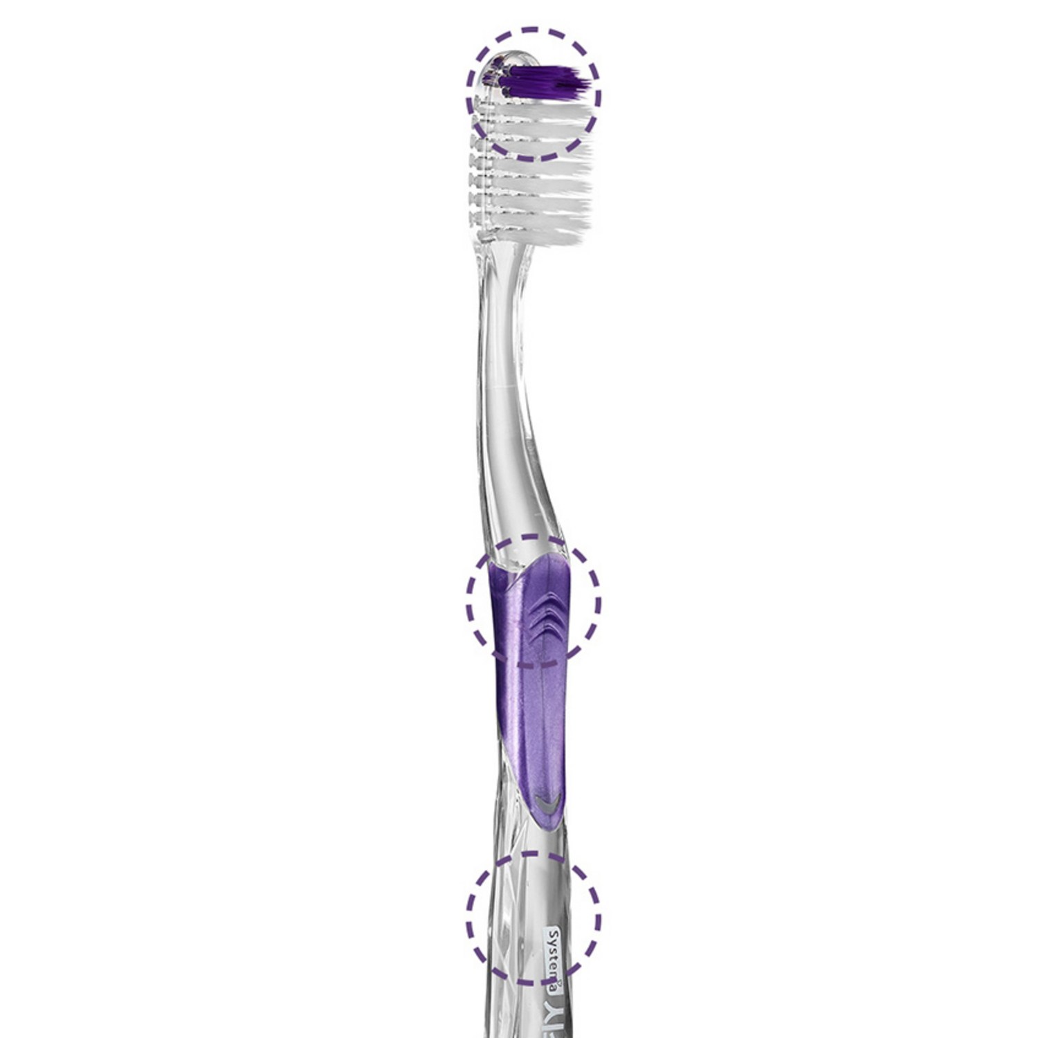 완벽한 구강 관리의 비밀