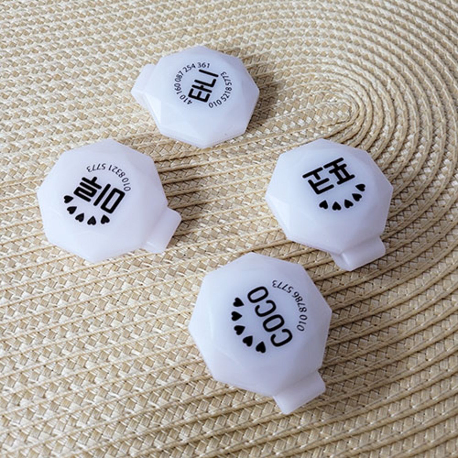 사랑하는 반려견의 안전을 위해 꼭 필요한 아이템