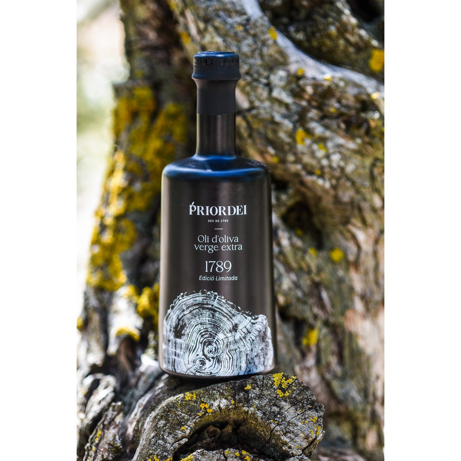 건강과 미각을 동시에 만족시켜주는 최고의 올리브오일