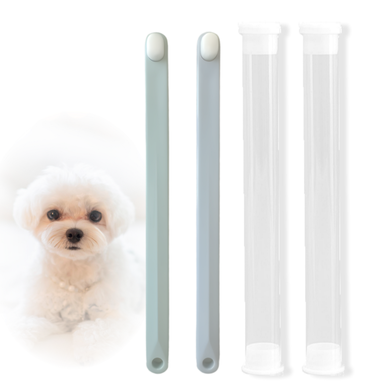 펫트렌디 반려동물 초극세사모 맞춤 칫솔 리뷰 고양이칫솔