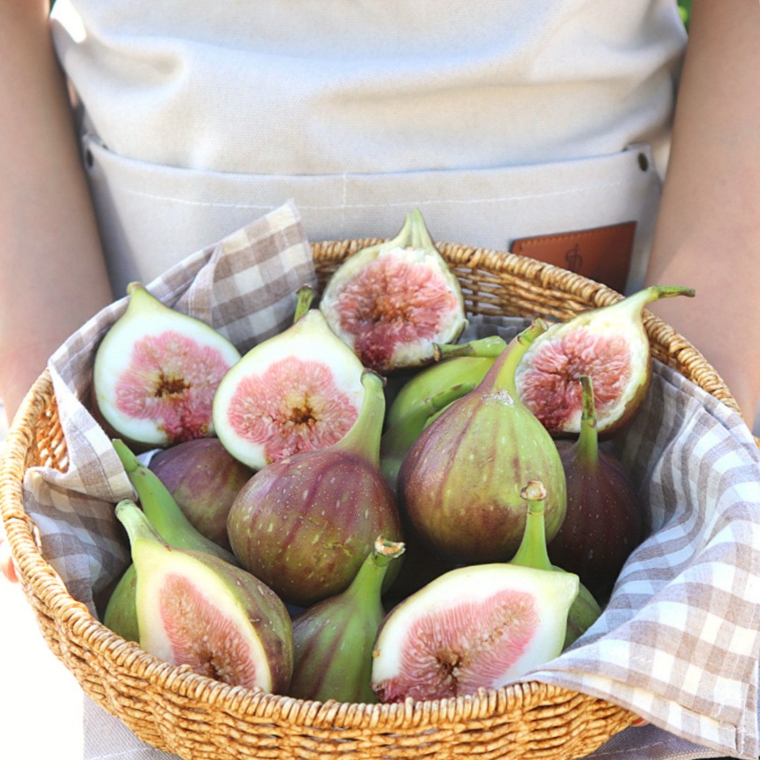 가을의 풍미, 산지직송 국내산 제철 무화과를 놓치지 마세요!