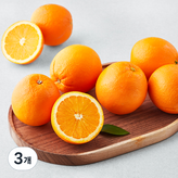 중소과1.5kg