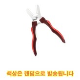 랜덤발송