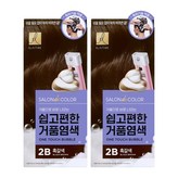2B흑갈색
