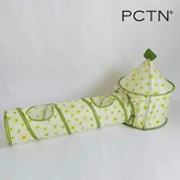 PCTN 2 × 1개