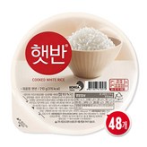 210g × 48개