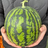 4kg