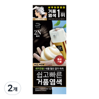 미쟝센 올 뉴 쉽고 빠른 거품 염모제 80g, 2N 흑색, 2개