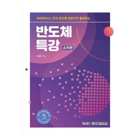 SK하이닉스 25년 반도체 전문가가 들려주는반도체 특강: 소자편, 진종문, 한빛아카데미