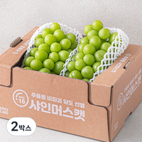 한반도 비파괴 당도선별 샤인머스켓, 1.5kg, 2개