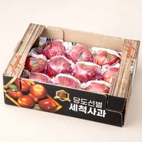 가족 국내산 당도선별 안동 세척사과 소과, 2kg, 1개