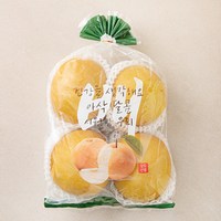 원농산 원황배, 1개, 2kg(3~4입)