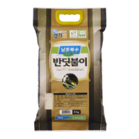 연천농협 특등급 반딧불이쌀 대안미, 4kg, 1개