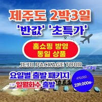 [제주도] 【일/월/화/수 출발】【홈쇼핑 동일 상품】제주도 2박3일 실속패키지【가성비/반값 초특가】