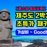 [제주 2박3일패키지] (1)【홈쇼핑동일상품】제주도[항공+호텔+버스관광 포함] 반값이하 초특가 기본실속알뜰패키지