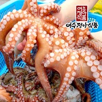 남해안 돌문어 1~3미 오늘주문 내일도착, 1개, 1kg (1~4미)