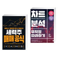 마이너스 계좌라면 반드시 읽어야 할 세력주 매매 공식 + 차트분석 무작정 따라하기 (전2권)