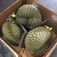 알라딘푸드 생 두리안 1box(3~4개) 10kg내외, 1박스