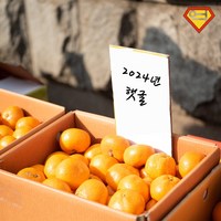 [억수로상회] 제주 조생 고당도 감귤 only 로얄과 3kg 5kg, 1개, 3kg(하우스감귤)