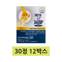 엠비피 뼈엔 MBP, 3정, 120개