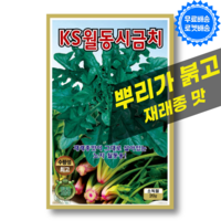 [씨앗팜]월동 시금치씨앗 (20g) 재래종 맛 가을 겨울 채소씨앗, 1개