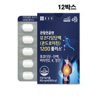 종근당 관절엔 콘드로이친 1200 12개월, 12박스, 60정