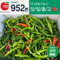 해돋이농산 국내산 청양고추 매운고추 못난이고추 1kg 2kg 3kg 5kg 10kg, 1개