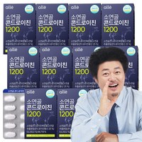 알레 소연골 콘드로이친 1200 식약처 인증 HACCP, 10박스, 60정