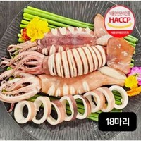 구룡수산 자연산 손질 통오징어 총 18마리 260g(2마리)X9팩, 9개